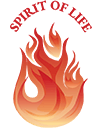 Spirit - Spirit Of Life Logo